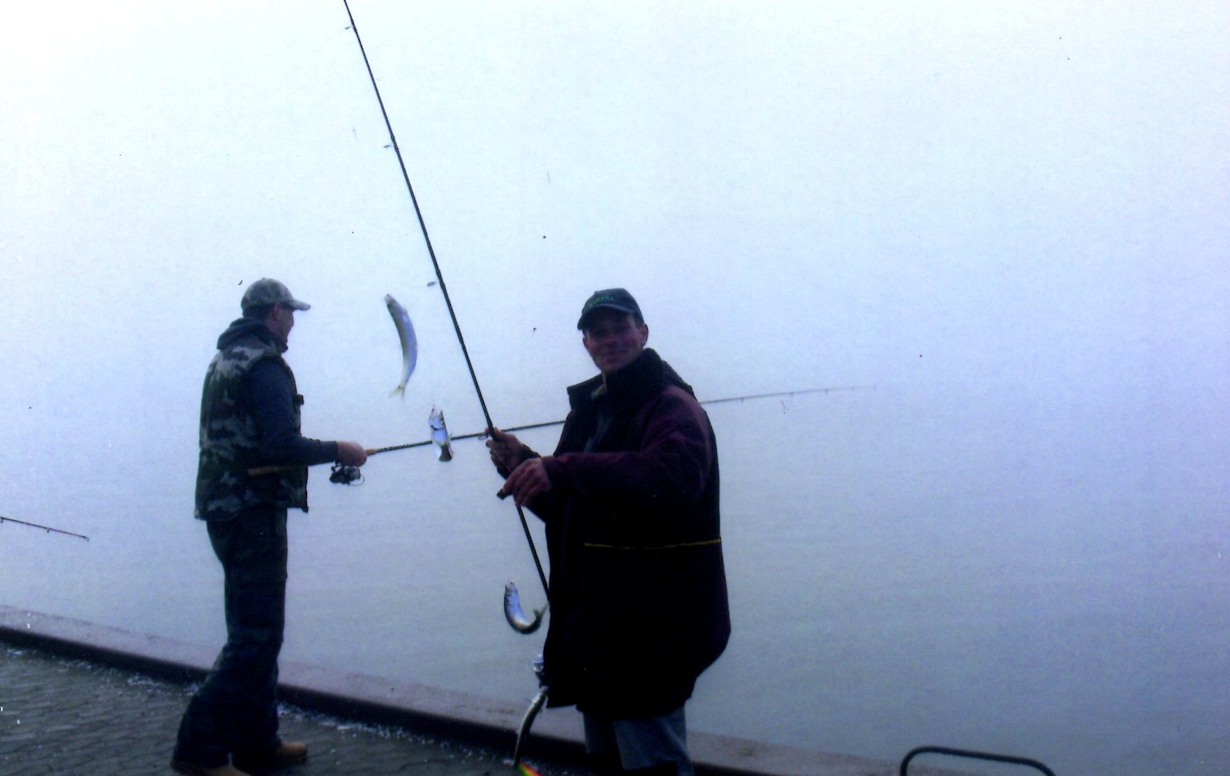 Heringsangeln Hvide Sande Dänemark